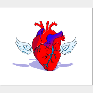 Heart with wings Posters and Art